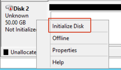 Initialize the new data volume